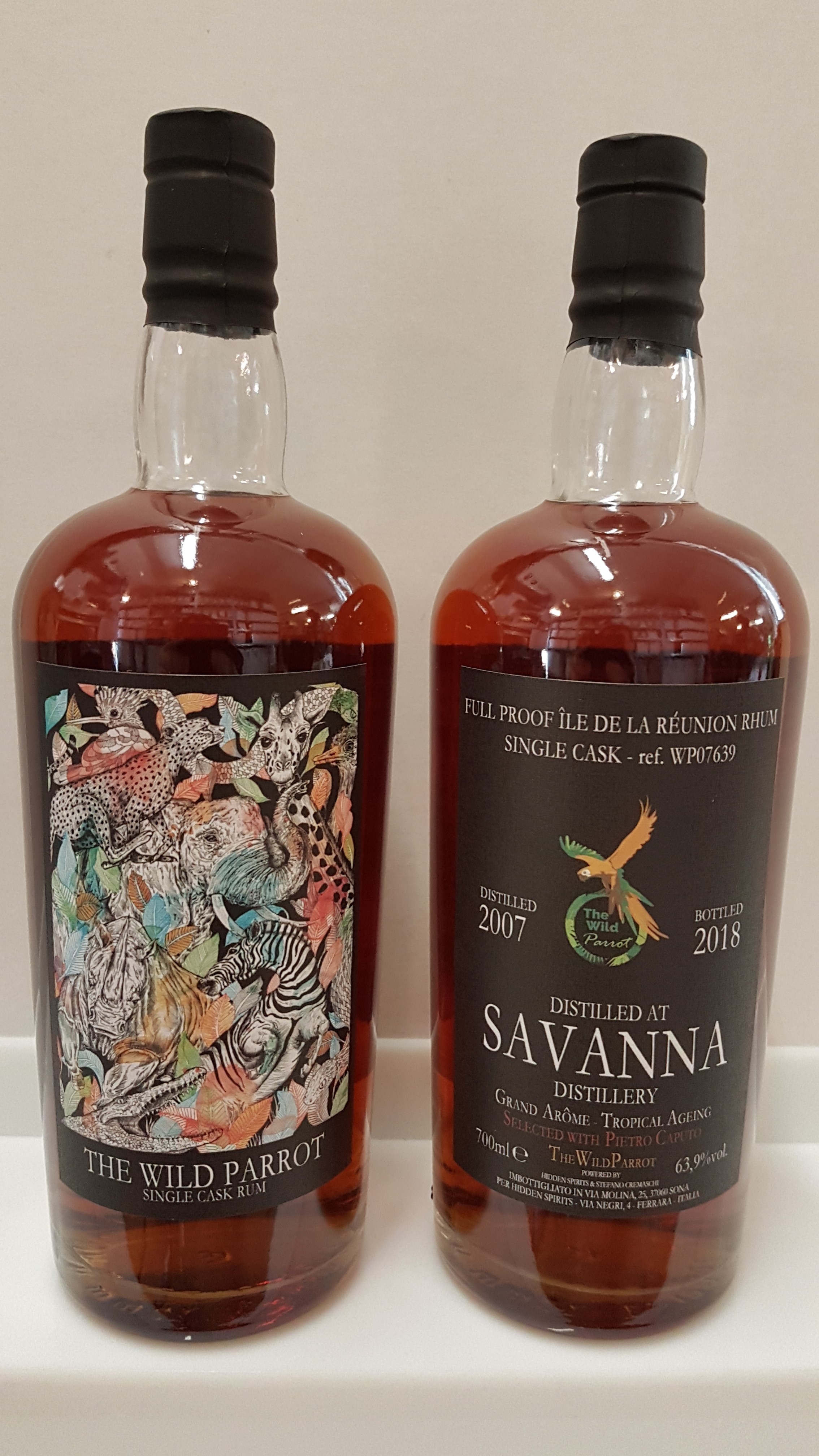Savanna 11y - The Wild Parrot