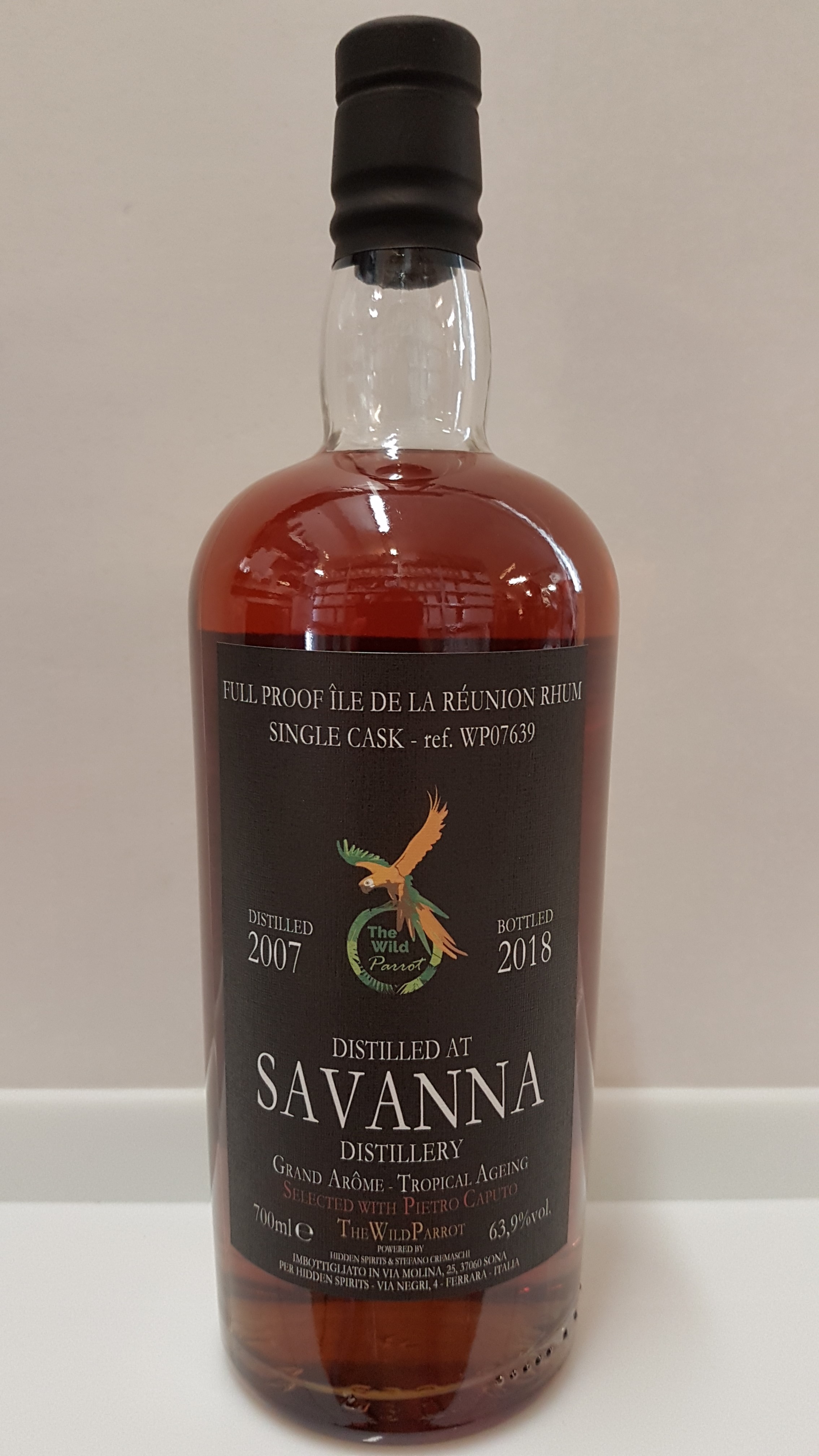 Savanna 11y - The Wild Parrot